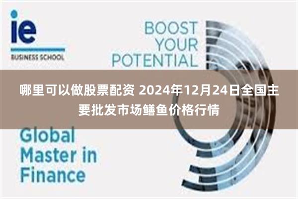 哪里可以做股票配资 2024年12月24日全国主要批发市场鳝鱼价格行情