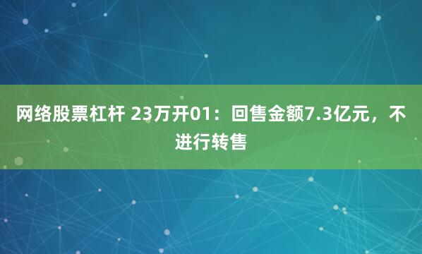 网络股票杠杆 23万开01：回售金额7.3亿元，不进行转售