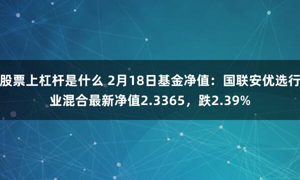 股票上杠杆是什么 2月18日基金净值：国联安优选行业混合最新净值2.3365，跌2.39%