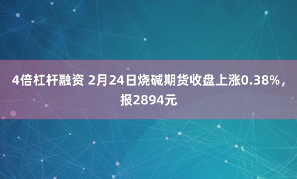 4倍杠杆融资 2月24日烧碱期货收盘上涨0.38%，报2894元