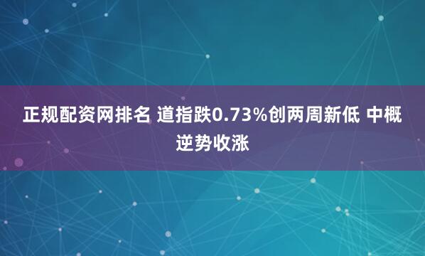 正规配资网排名 道指跌0.73%创两周新低 中概逆势收涨