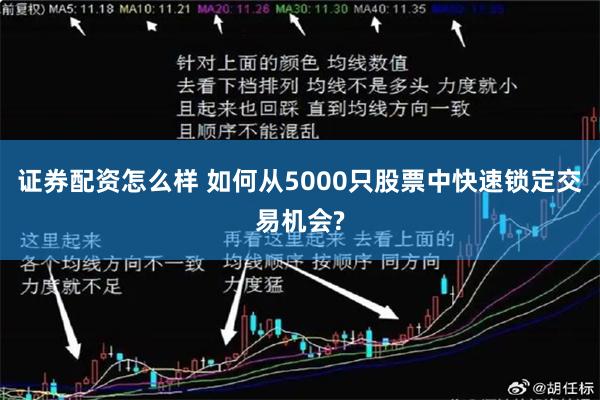 证券配资怎么样 如何从5000只股票中快速锁定交易机会?